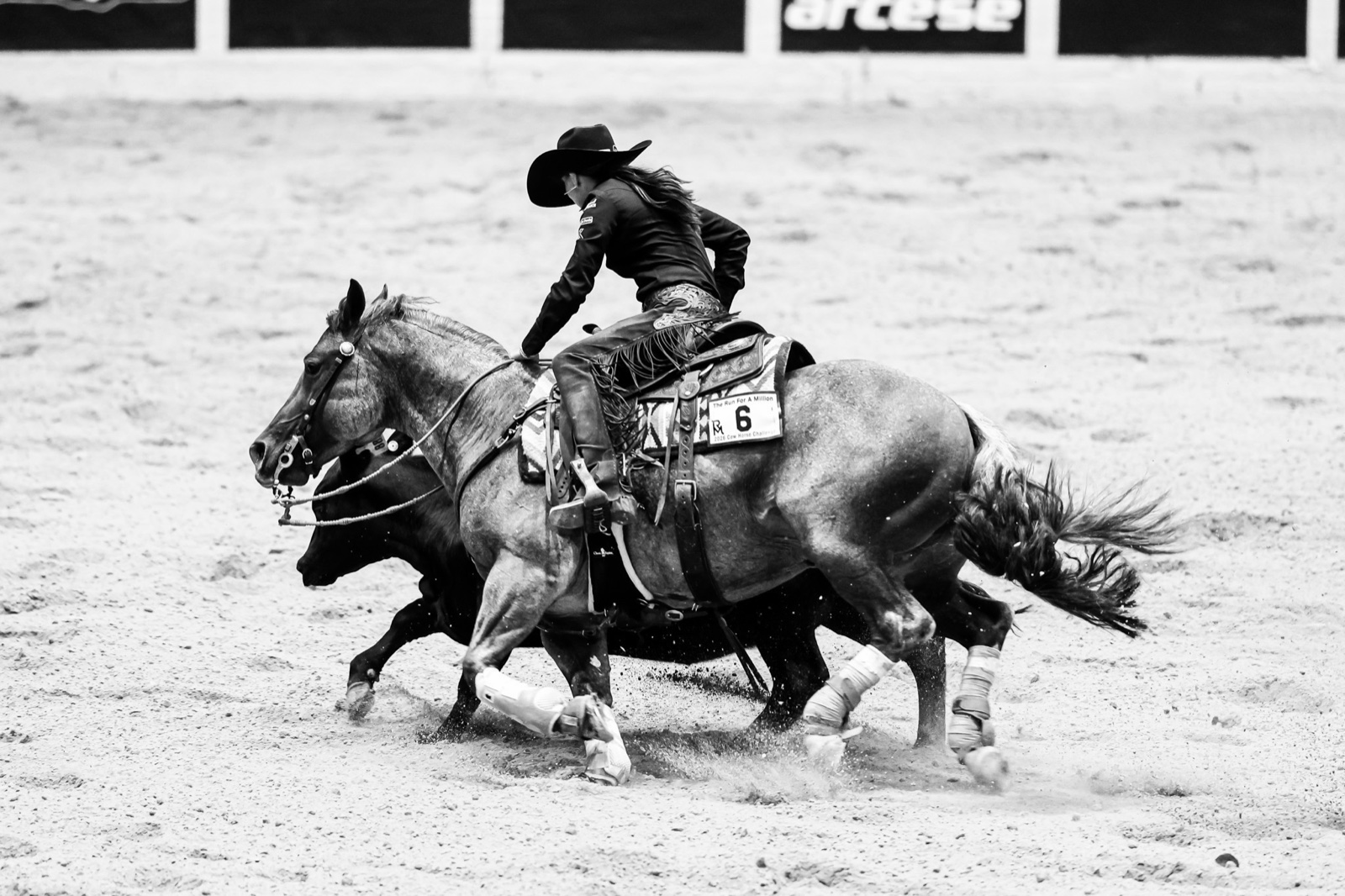 Erin Taormino and Hazardouz Material boxing a cow during their winning 226 run at The Run For A Million 2026