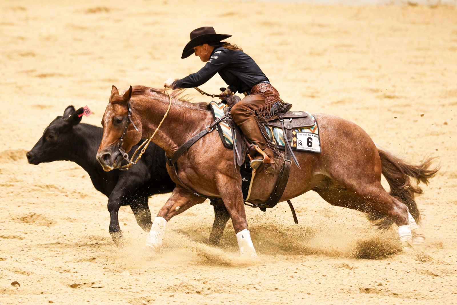 Hazardouz Material driving a cow at speed at The Run For A Million 2026, mane flying