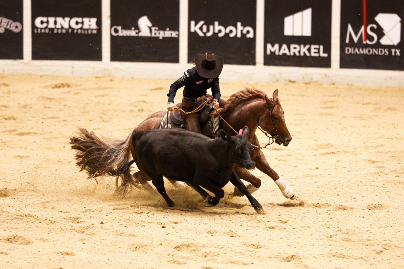 Hazardouz Material rolling back over his hocks on a cow at The Run For A Million 2026