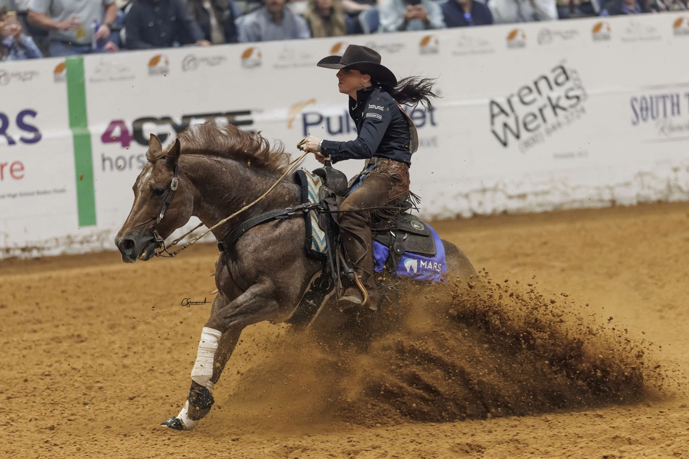Hazardouz Material burying a sliding stop with dirt flying at the 2025 World's Greatest Horseman finals, ridden by Erin Taormino